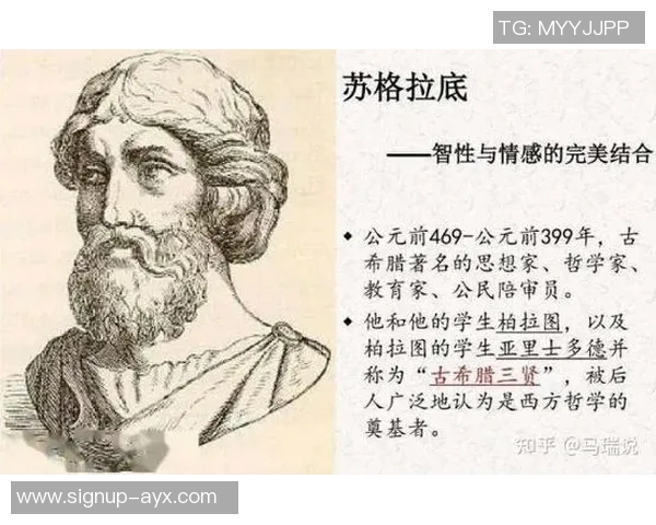 篮球明星分享成长与奋斗历程的新书揭示运动背后的故事与人生哲学 篮球明星分享成长与奋斗历程的新书揭示运动背后的故事与人生哲学